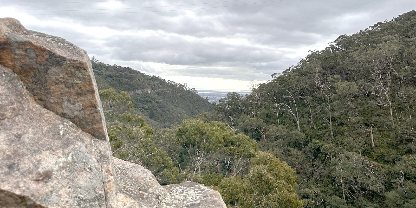 Banner image for Rock Climbing @ Morialta - Stages 3-5 Vertical - Saturday 31st August 2024