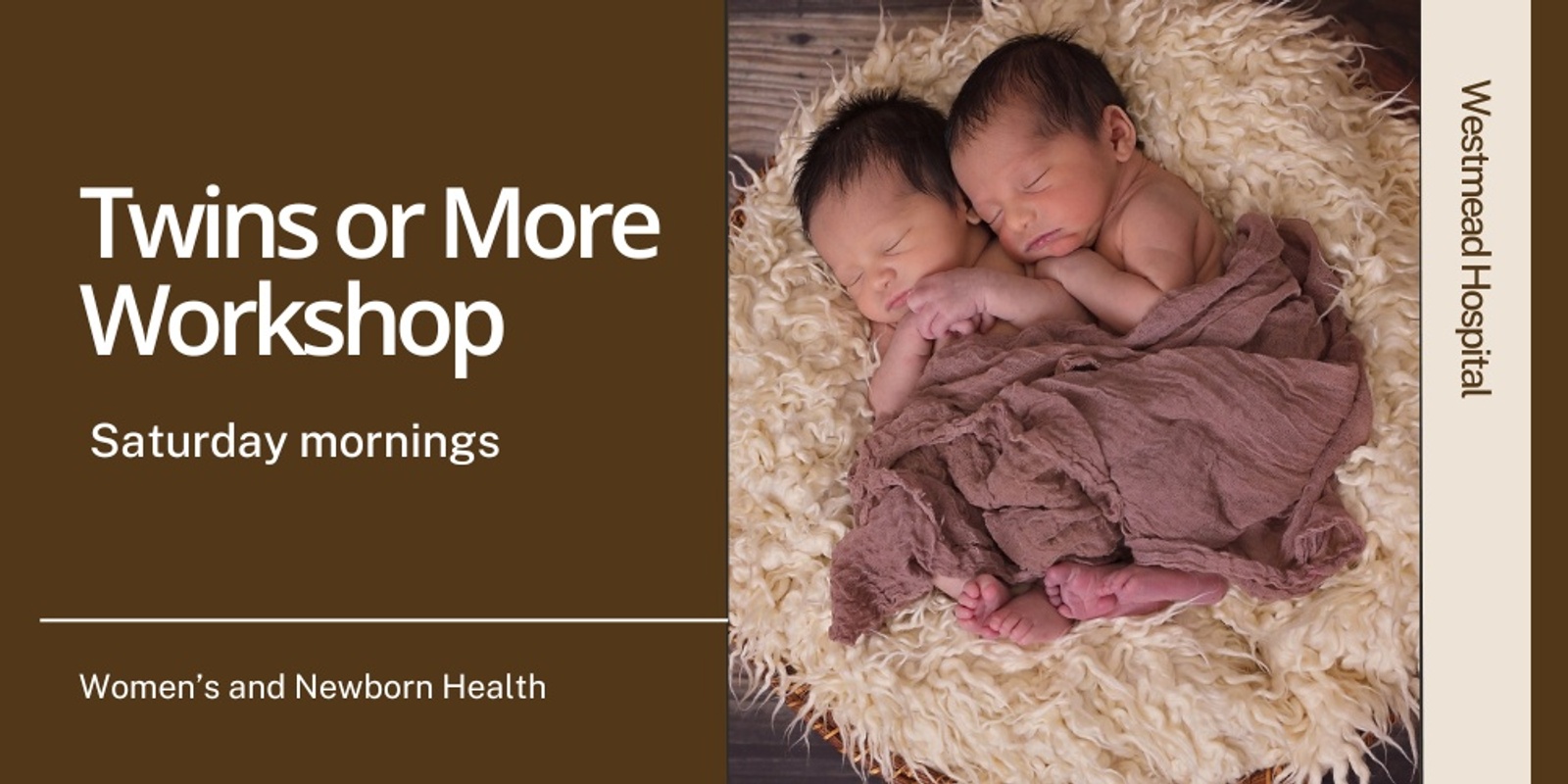 Banner image for Twins or More Workshop Saturday 23rd August 2025