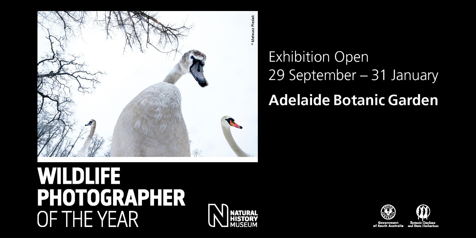 Banner image for Wildlife Photographer of the Year Exhibition