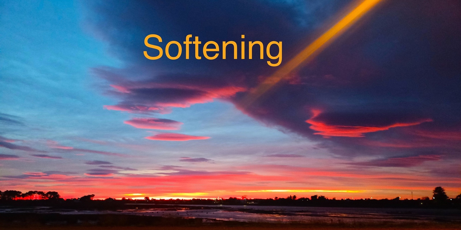 Banner image for Art Dance Sunday 2 July : Softening