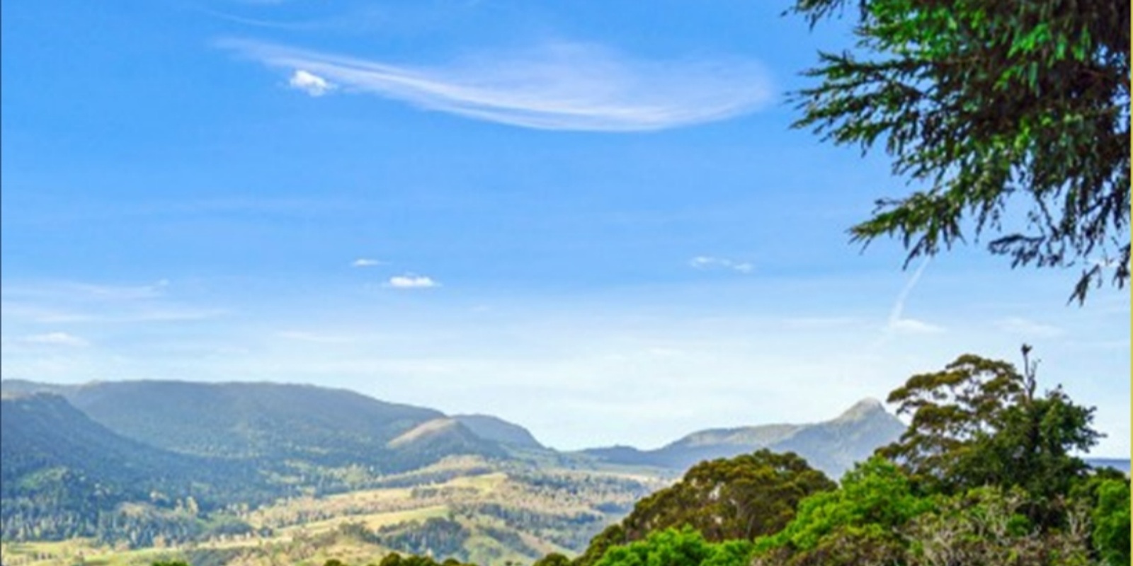 Banner image for Ladies Luncheon in the Mountains