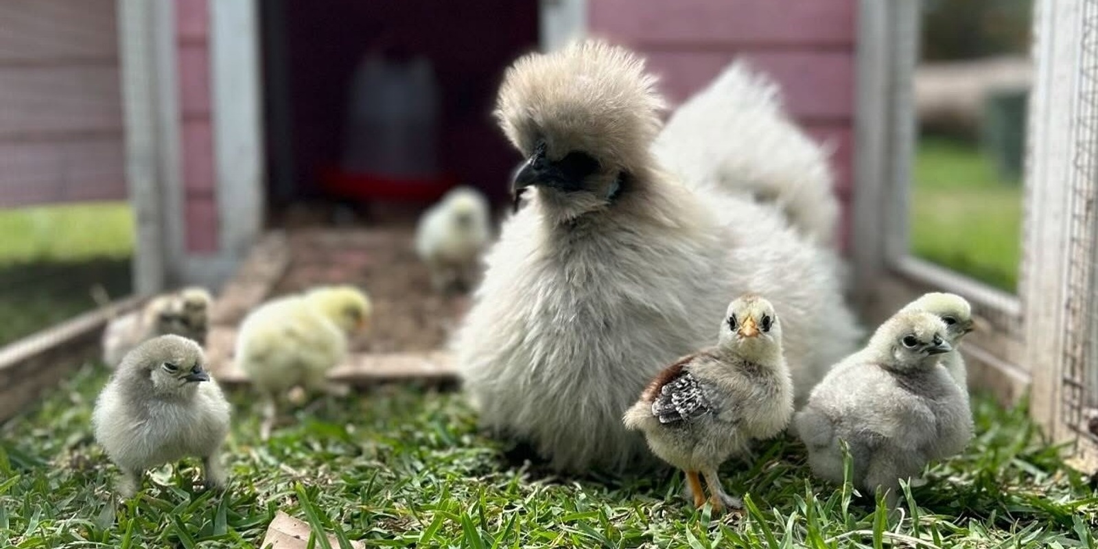 Banner image for Little Farmers Learn Through Play