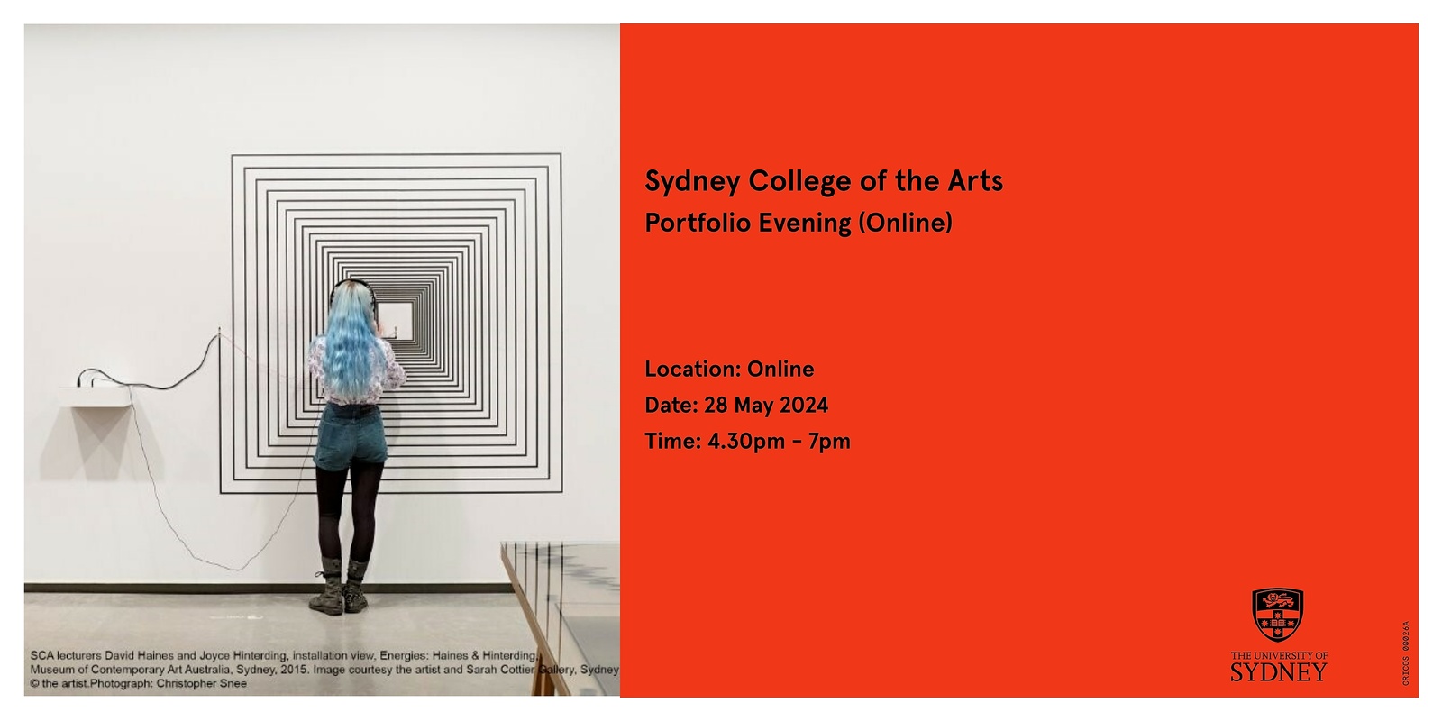 Banner image for Sydney College of the Arts Portfolio Evening (Online) 