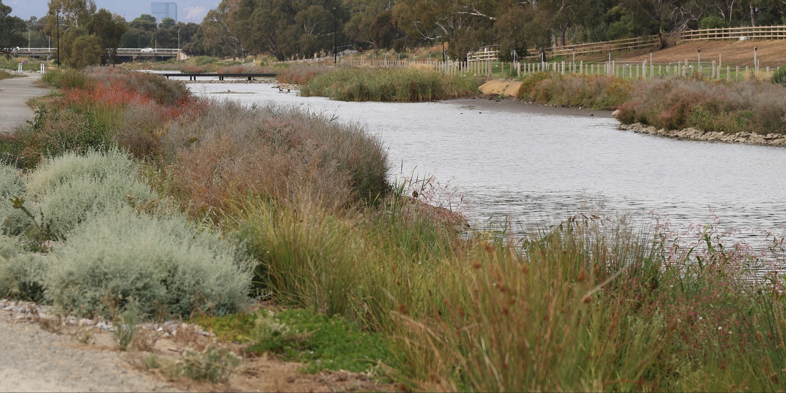 Banner image for Working around Waterways Workshop