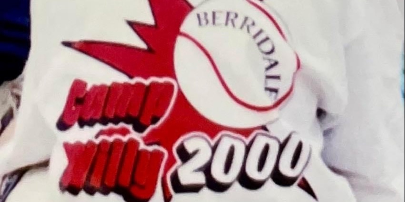 Banner image for Camp Willy 2000 - 25 year Reunion