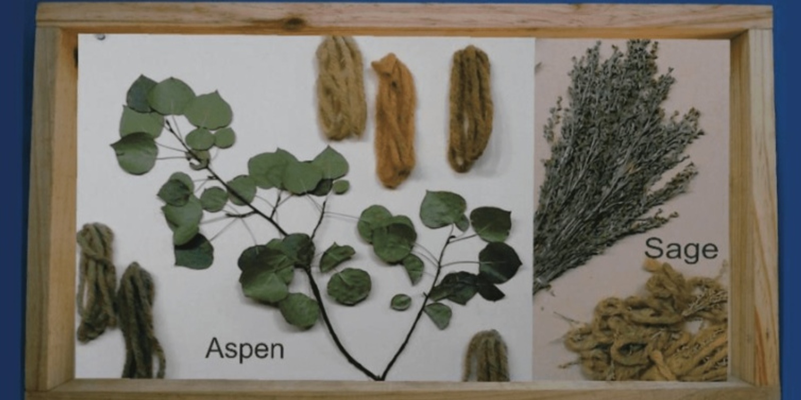 Banner image for NATURAL DYES OF IDAHO