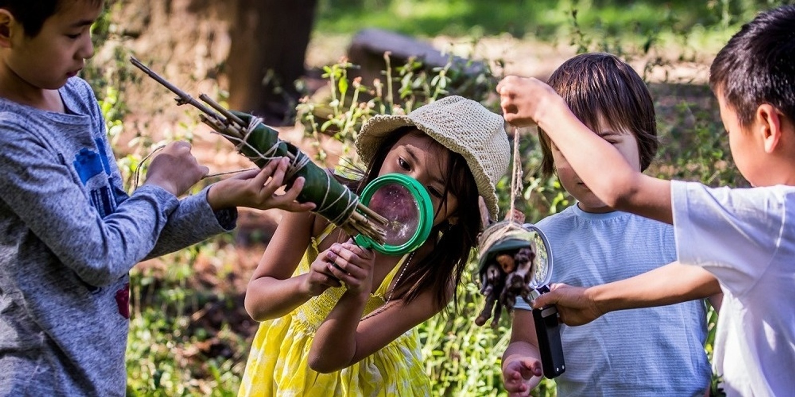 Banner image for Park Science - Incredible Insects - Centennial Parklands - Spring 2024