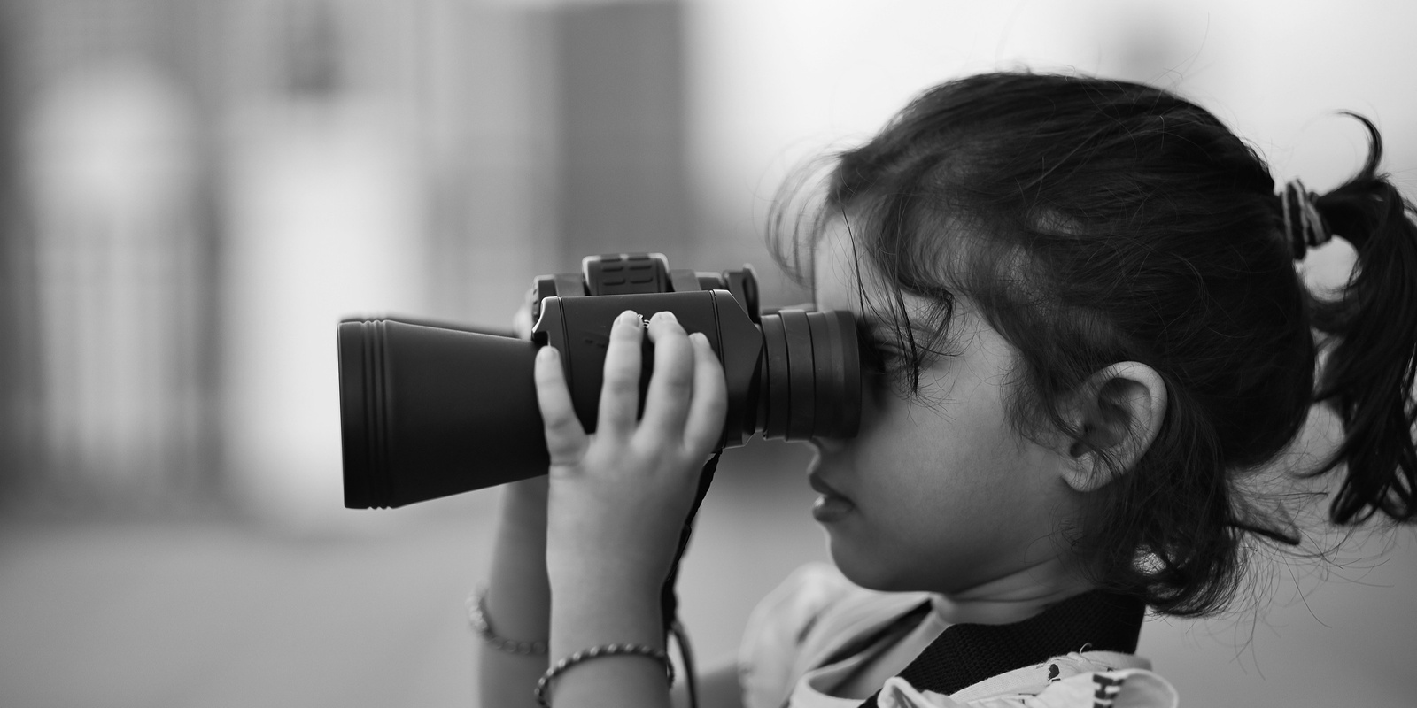 Banner image for What bird is this? Bird identification workshop for children (6-13 years)