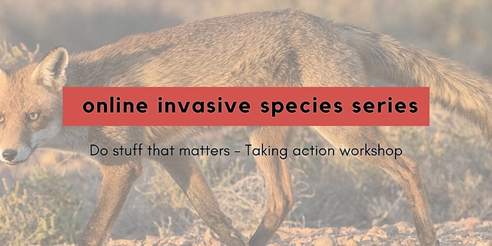 Do stuff that matters - Taking action workshop| Online invasive species series