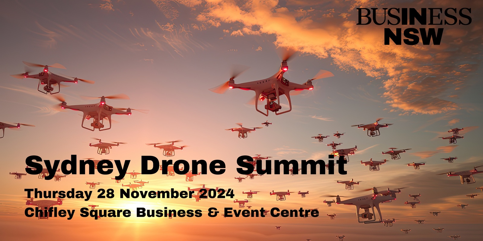 Banner image for Business NSW Sydney Drone Summit 