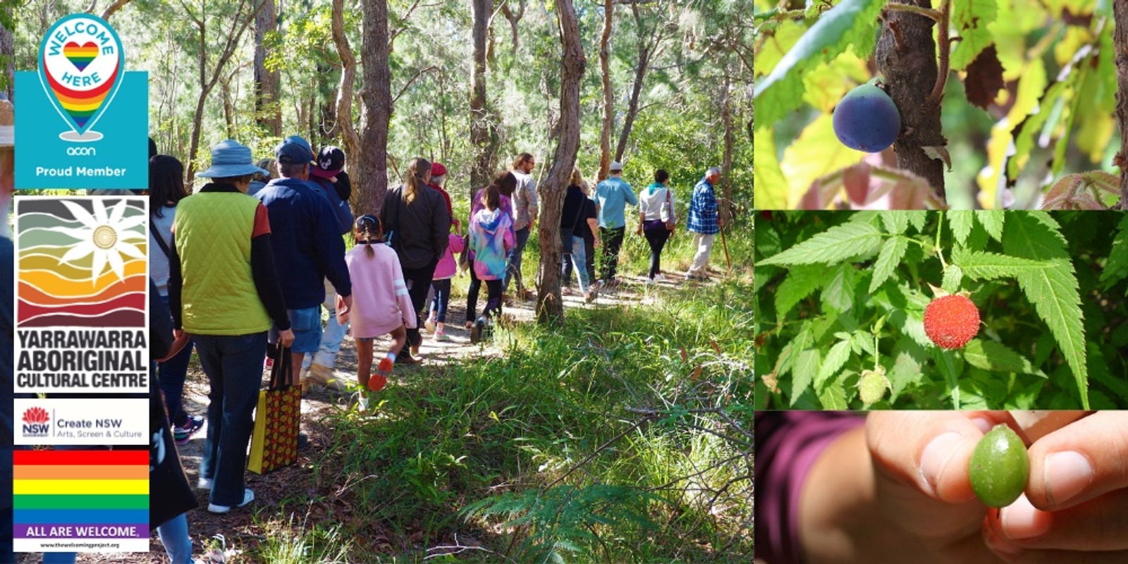 Banner image for Holiday Bush Tucker and Medicine Tour