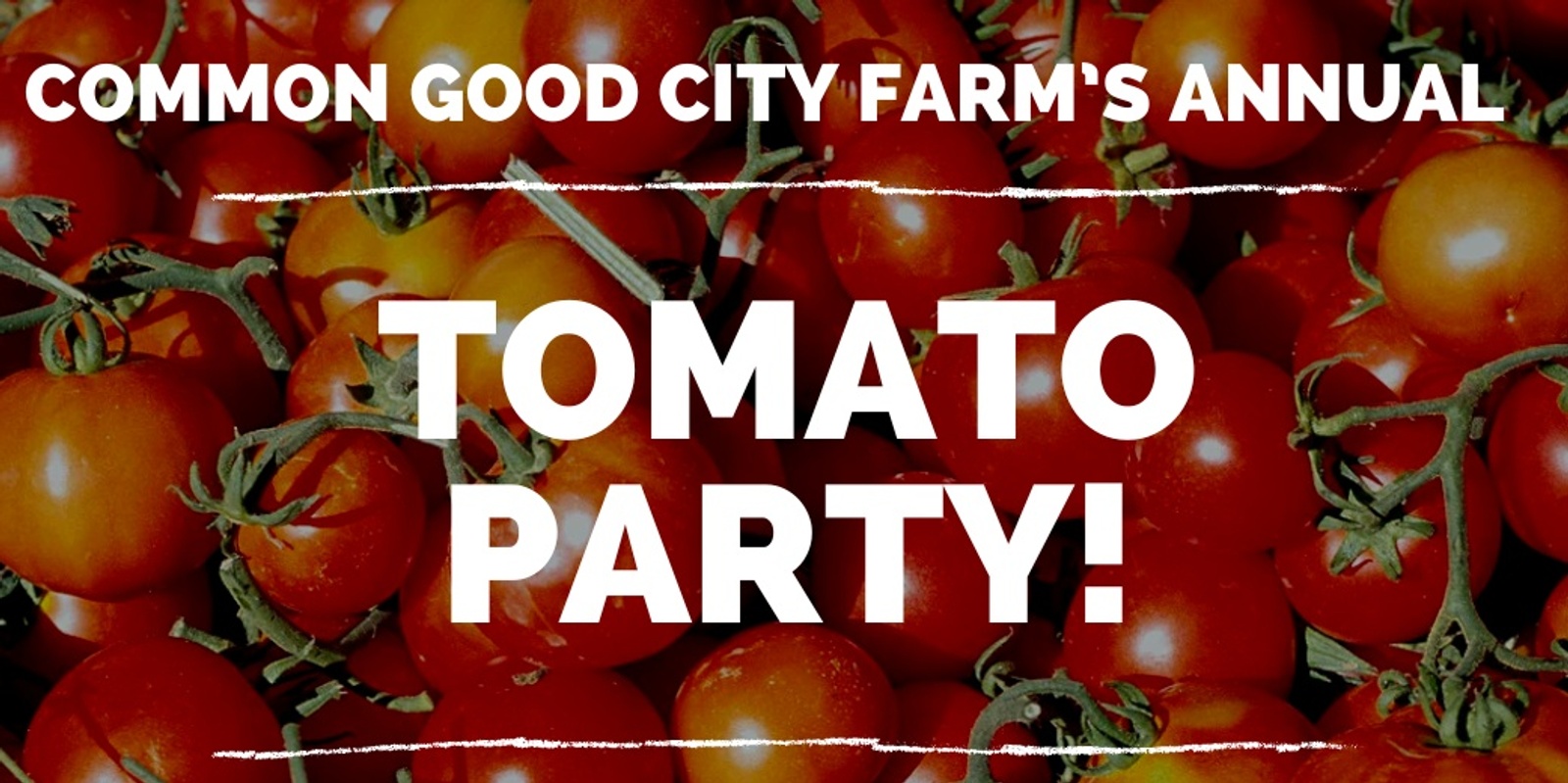 Banner image for 2024 Tomato Party