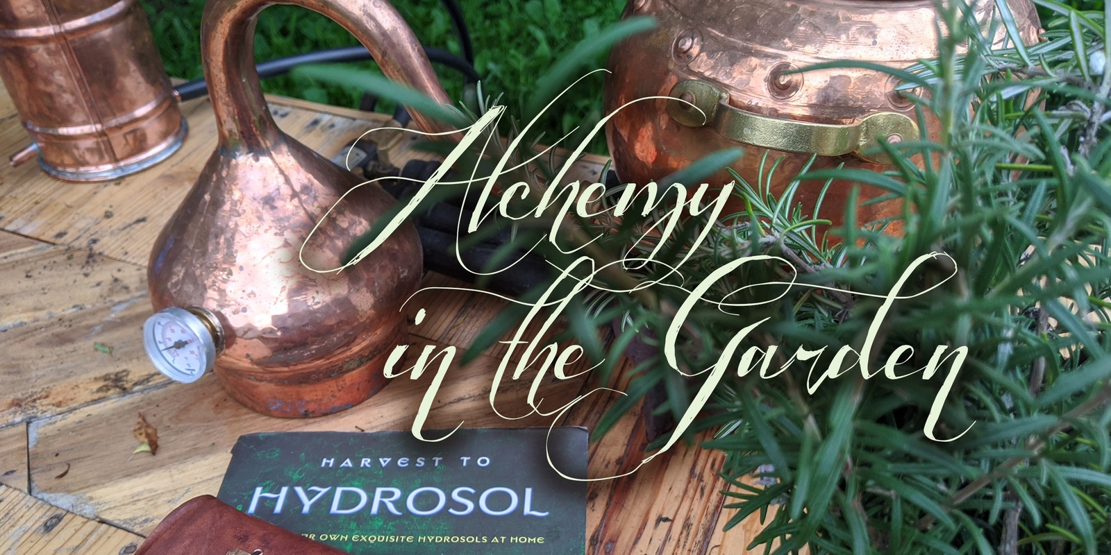 Banner image for Alchemy in the Garden (Medicine Garden Tour & Distillation Demonstration)