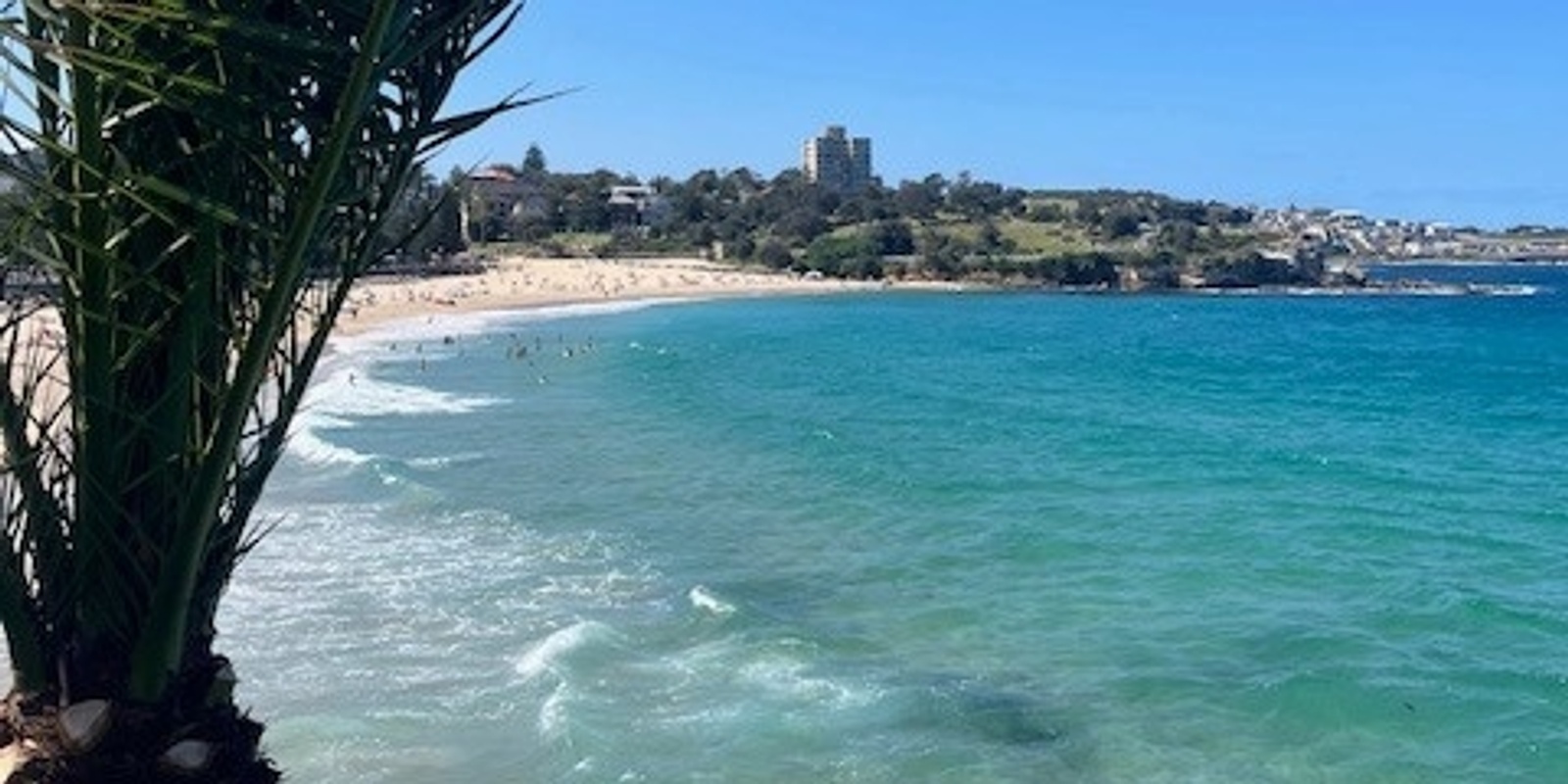 Banner image for Coogee Beach Explorers – Little Sandcastle Engineers