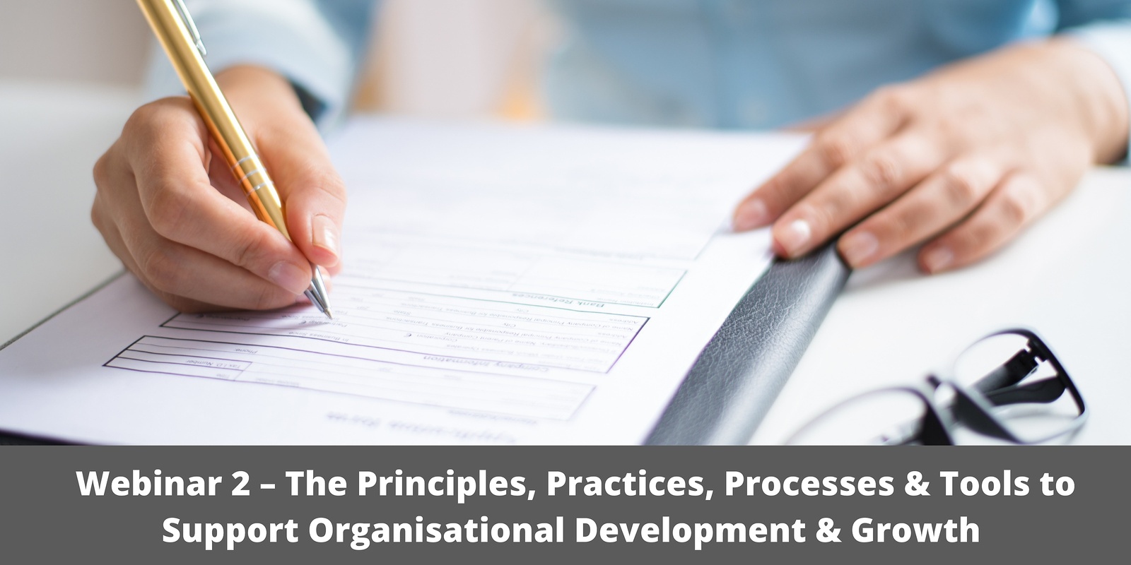 Banner image for Webinar 2 – The Principles, Practices, Processes & Tools to Support Organisational Development & Growth