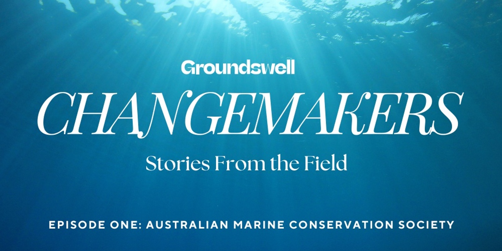 Banner image for Groundswell Changemakers: Stories from the field with the Australian Marine Conservation Society