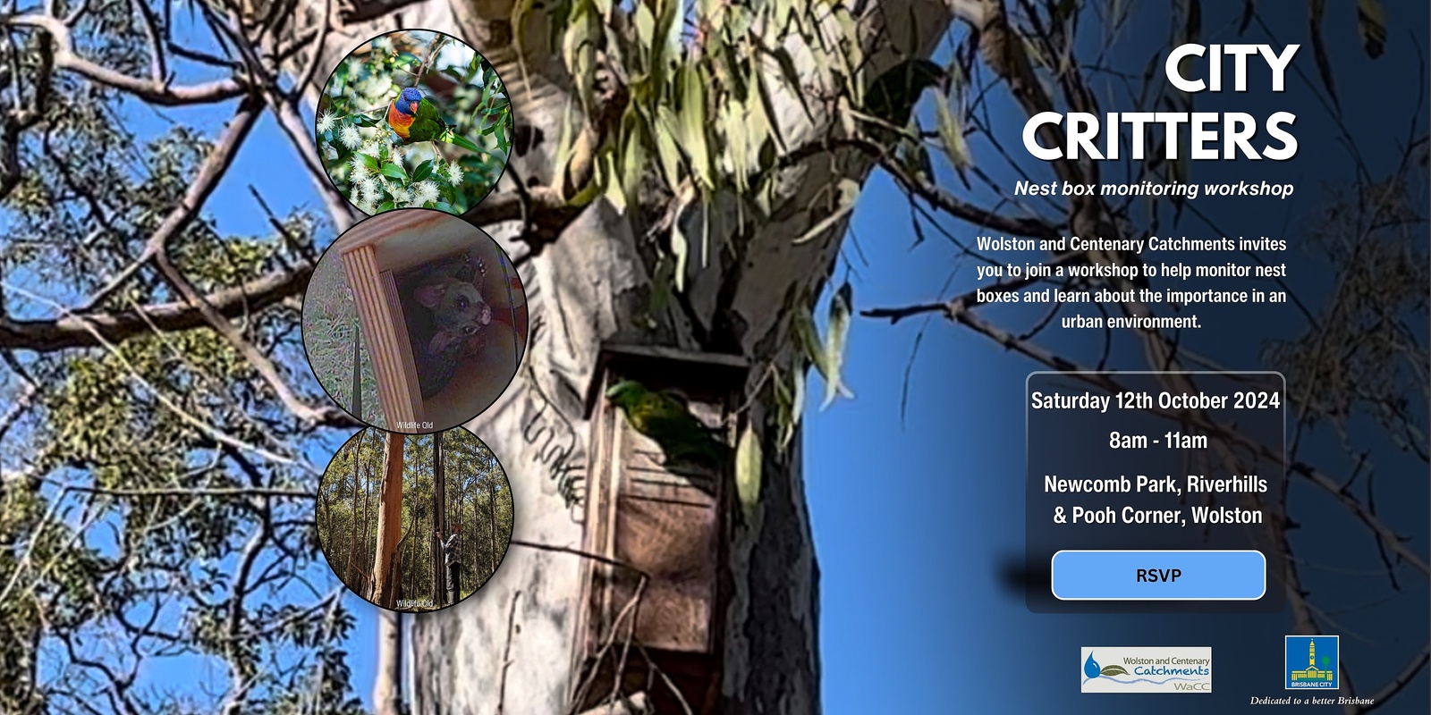 Banner image for City Critters: Nest box Monitoring Workshop