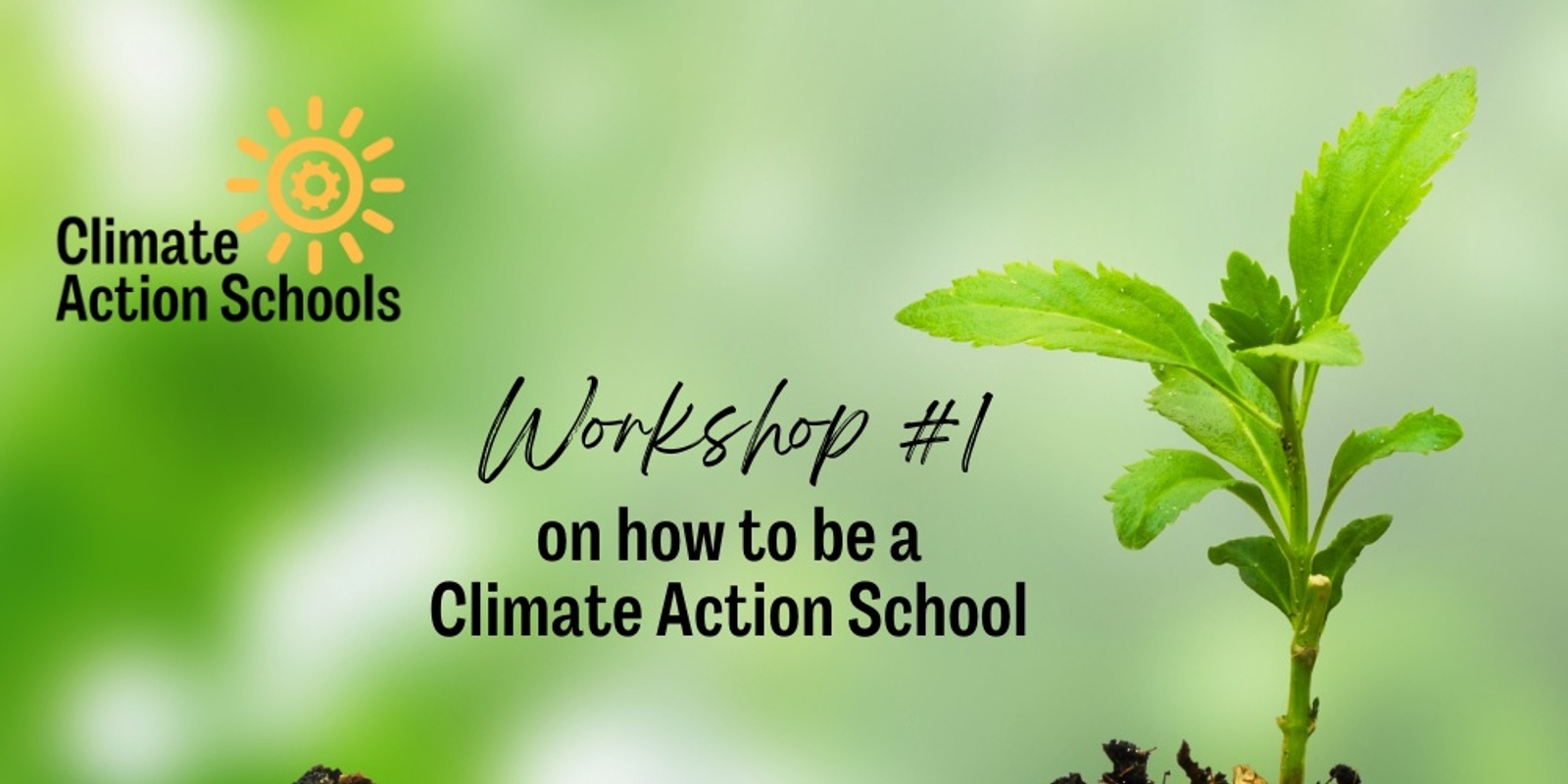 Banner image for Workshop #1 - How to become a "Climate Action School" 