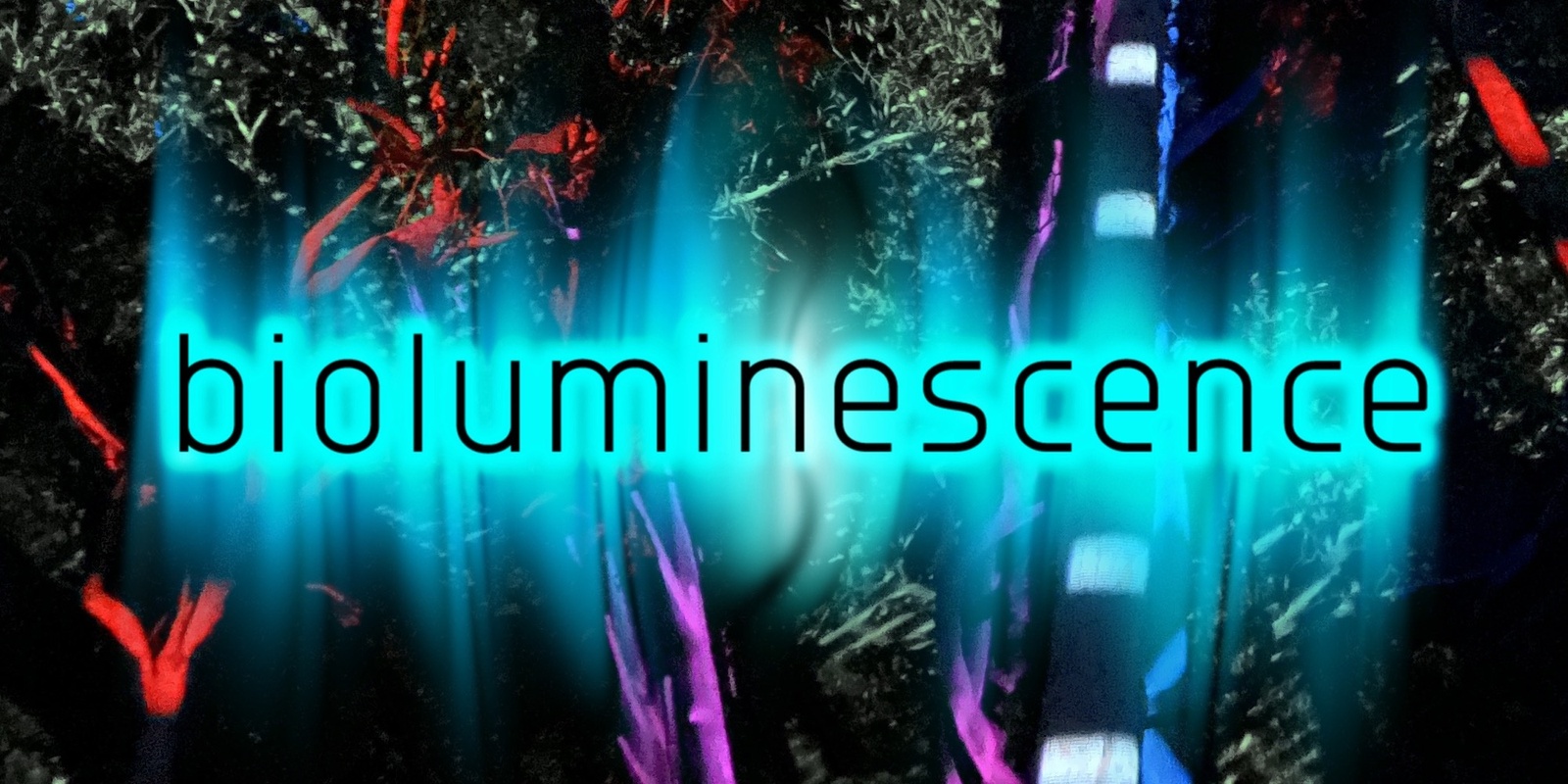 Banner image for Bioluminescence Workshops @ Falling Leaf Festival