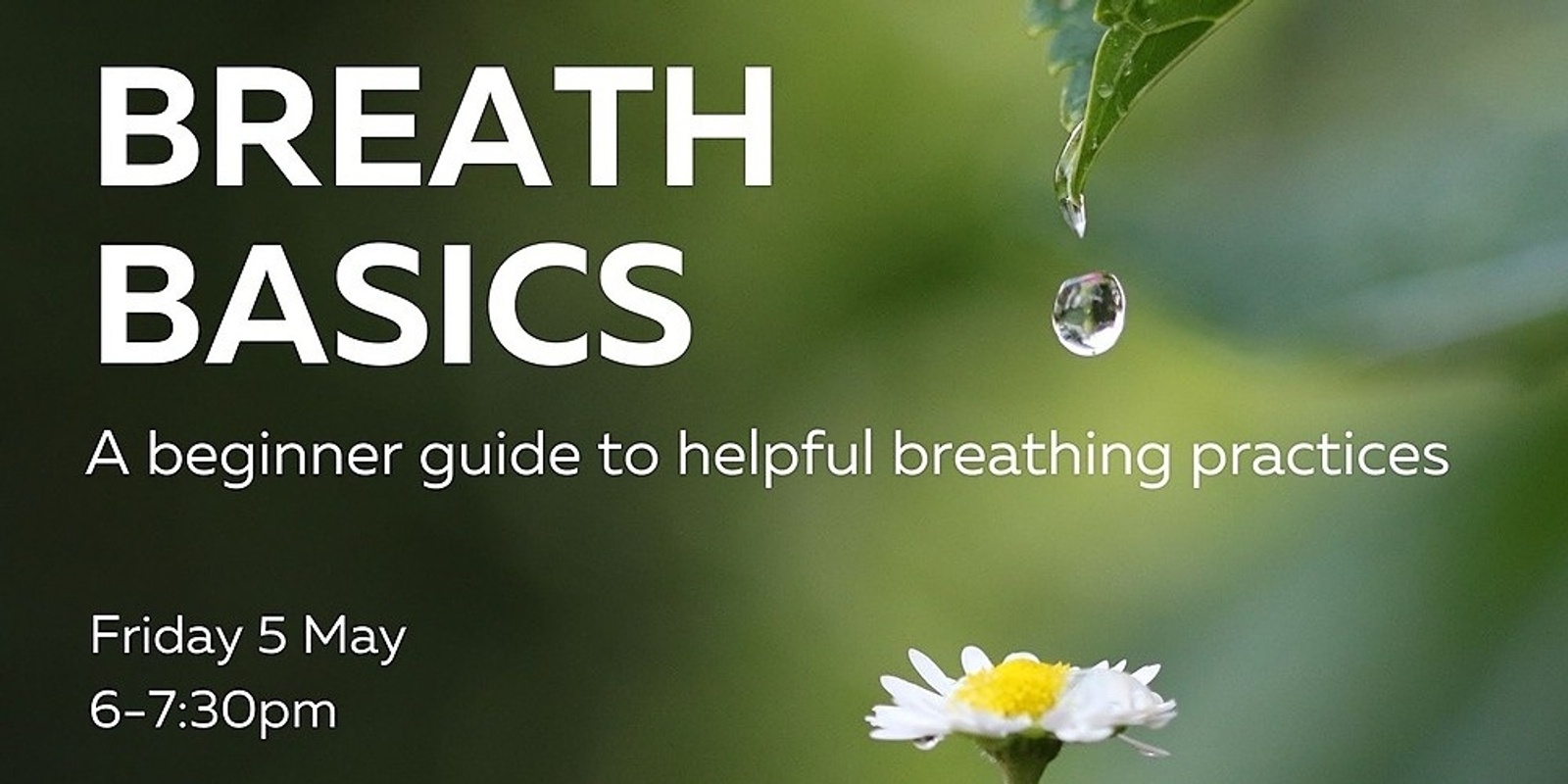 BREATH BASICS: A beginner guide to helpful breathing practices