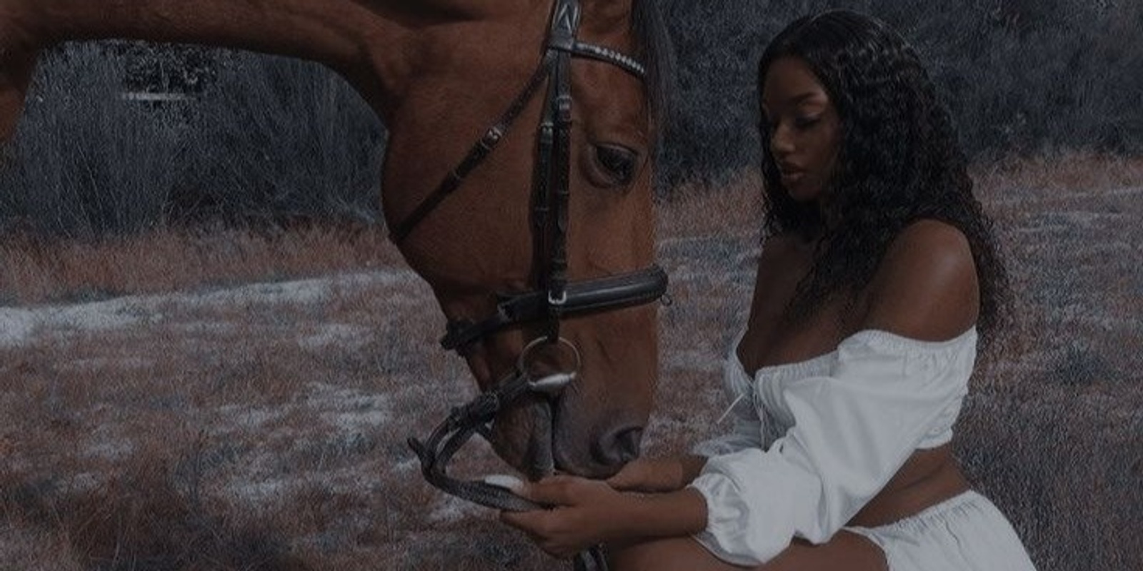 Banner image for Black Girls x Horse Riding