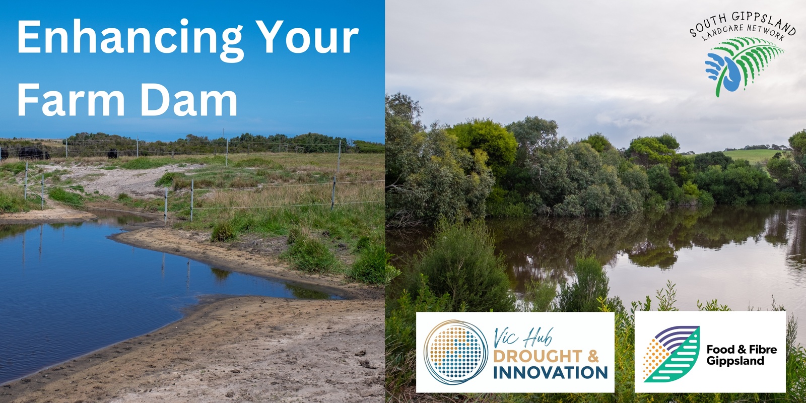 Banner image for Greening Dams Workshop