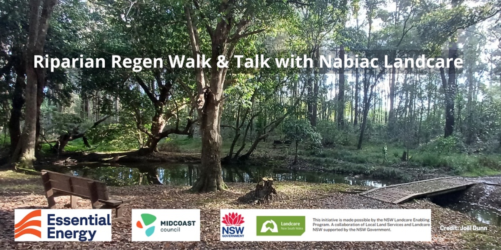 Banner image for Riparian Regen Walk & Talk with Nabiac Landcare