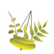 Vital Veda 's logo