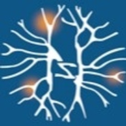 Applied Neuroscience Society of Australasia's logo