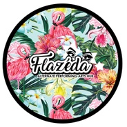 Flazeda Hub's logo