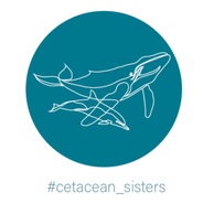 Cetacean Sisters's logo