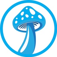 Fringe Mount Gambier's logo