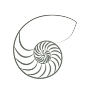 Environmental Education NSW's logo