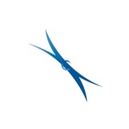 UNSW ECOSOC's logo