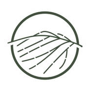 Ngeringa 's logo