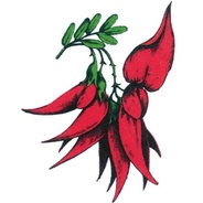 Friends of the Dunedin Botanic Garden's logo