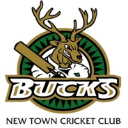 New Town Cricket Club's logo