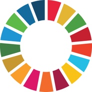 Aotearoa New Zealand - Sustainable Development Goals Summit Series's logo