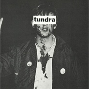 TUNDRA 's logo