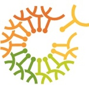 COTA ACT's logo