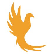 Burn Survivors of New England's logo
