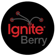 Ignite Berry's logo