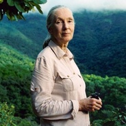the Jane Goodall Institute Australia's logo