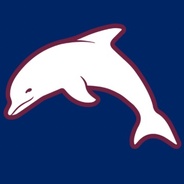 Noosa Dolphins U15 Tour's logo