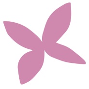 SA Woman Australia's logo