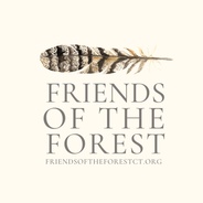 Friends of the Forest's logo