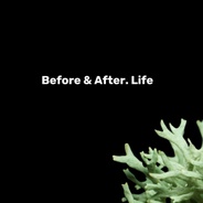 Before & After Life's logo