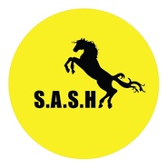 S*A*S*H's logo