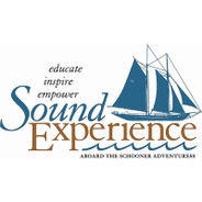 Sound Experience's logo
