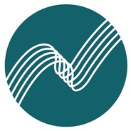 Brisbane Symphony Orchestra's logo